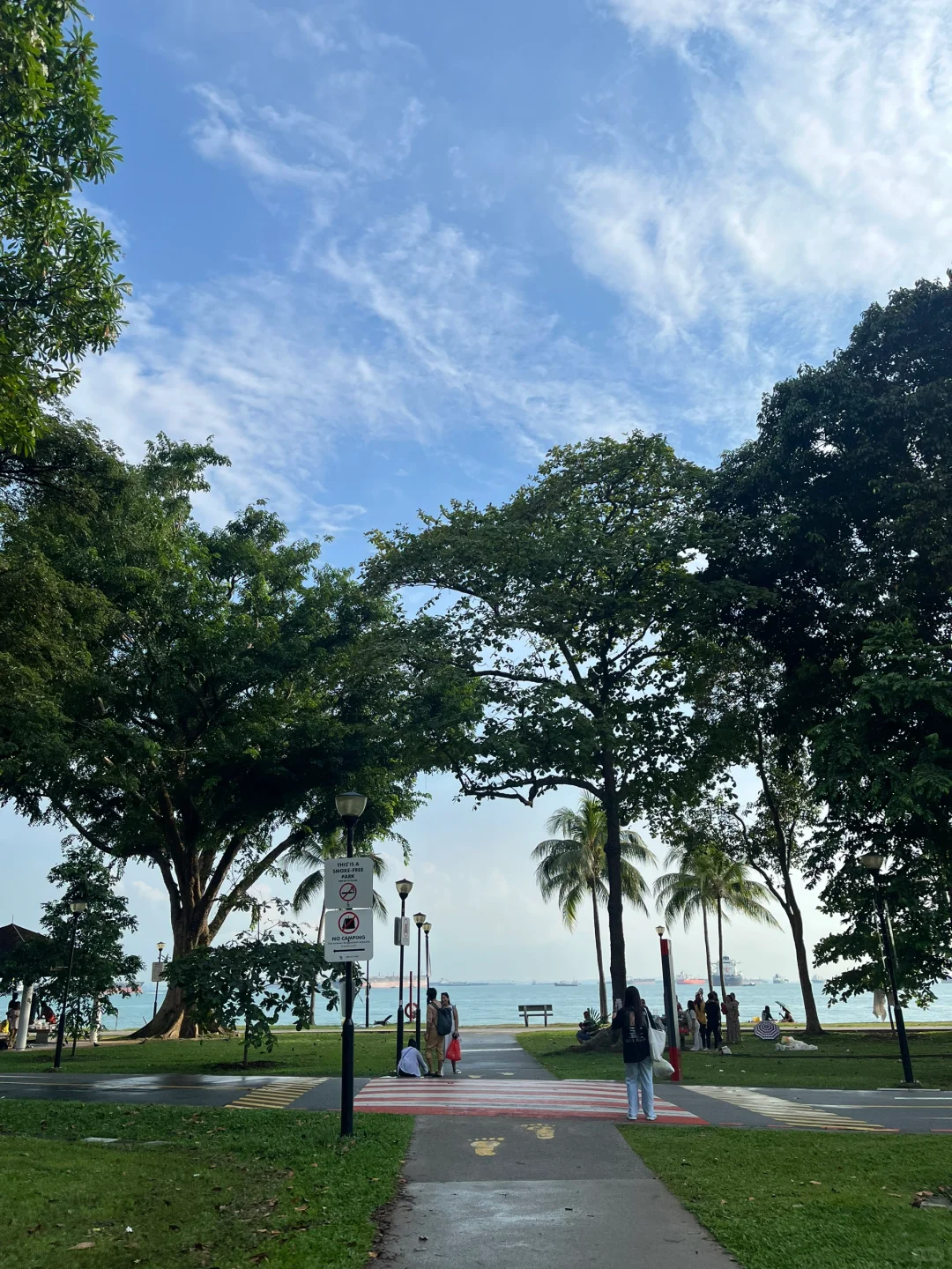 雨后的东海岸公园好chill🥺