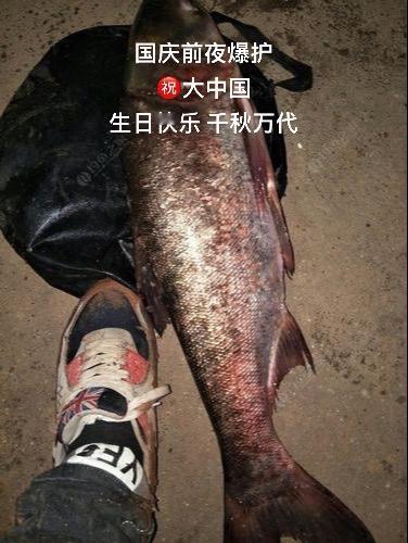 30➕ 完成任务！#钓鱼的乐趣只有钓鱼人懂 #我爱钓鱼我的选择 #钓鱼人就是这么