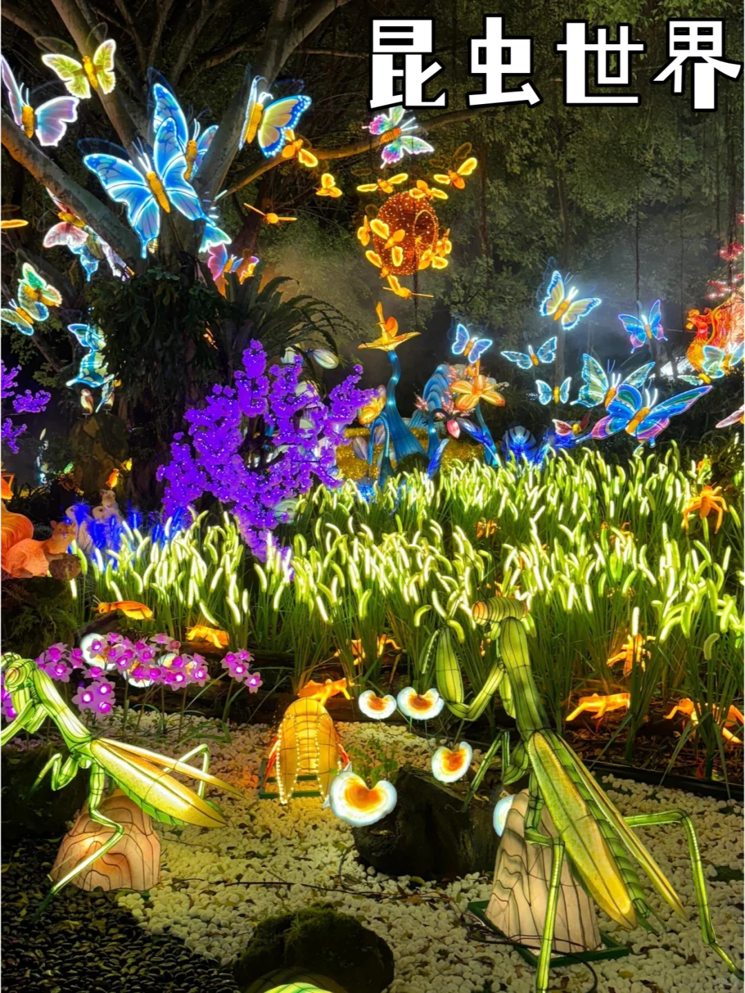 🦕南宁青秀山夜花园🌸拍照打卡の指南