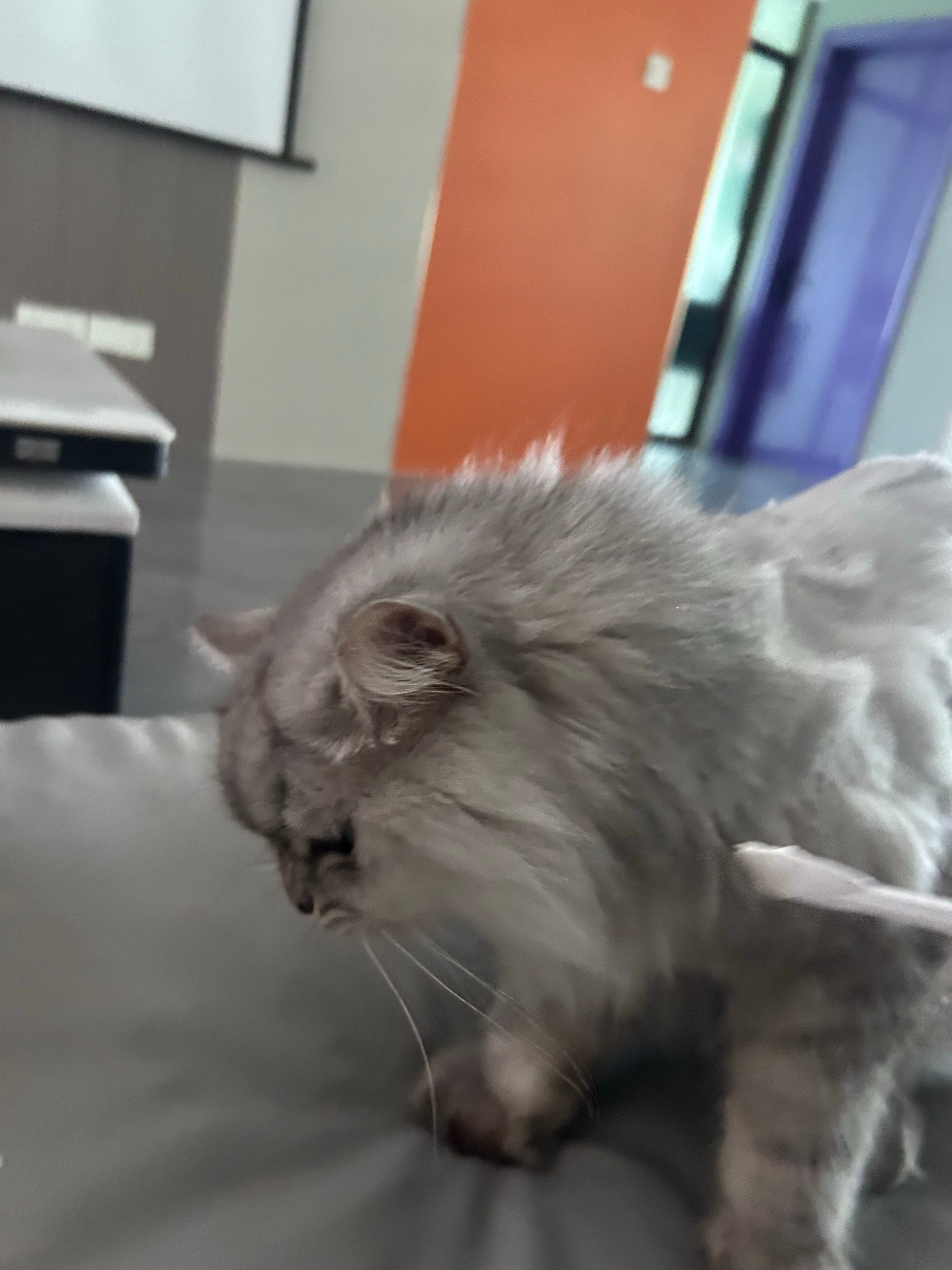 干噎酸奶，疯了我觉得自己最近特别馋 三亚