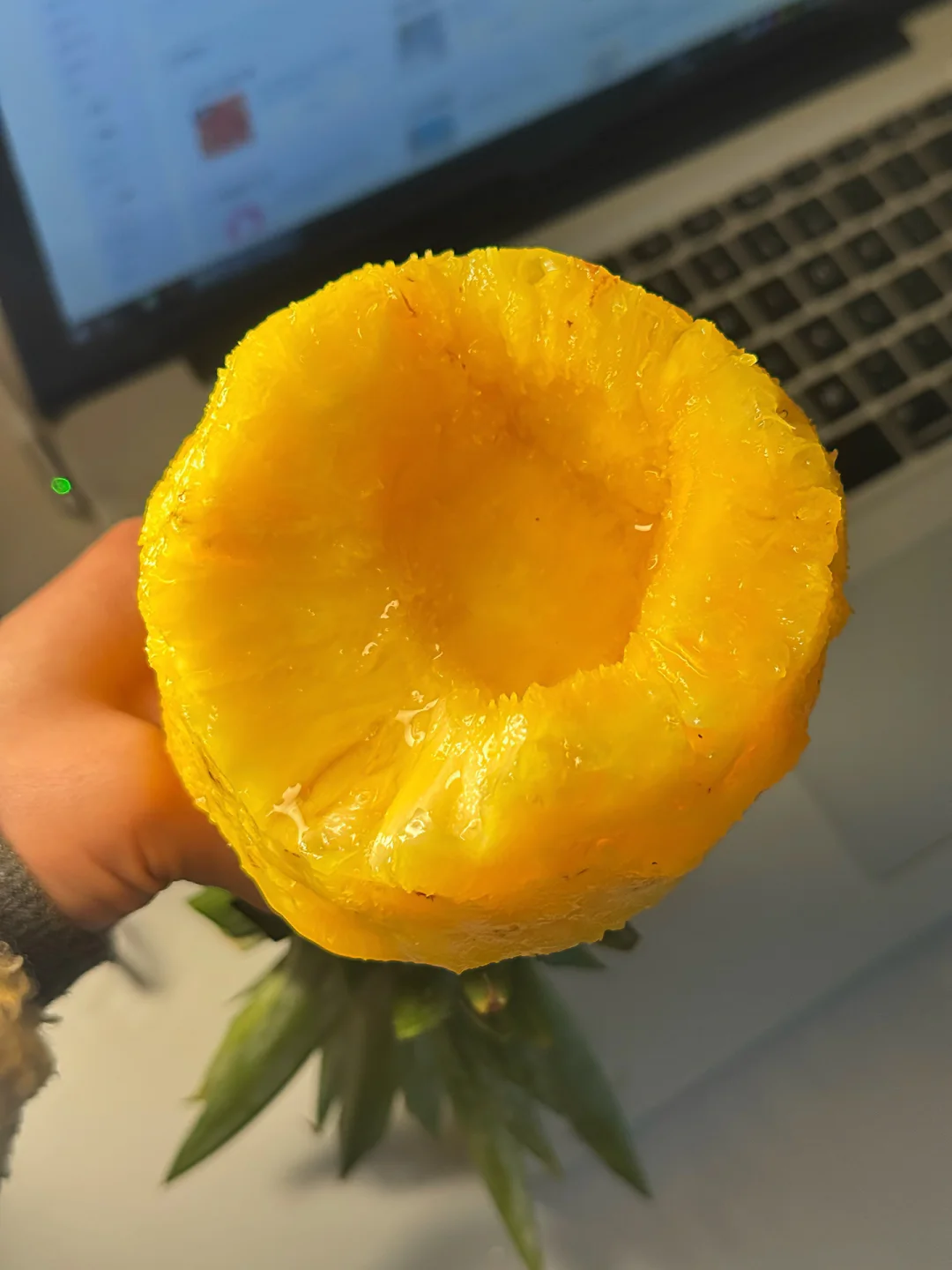 我们的糖果凤梨就是比别人的普通🍍更甜。