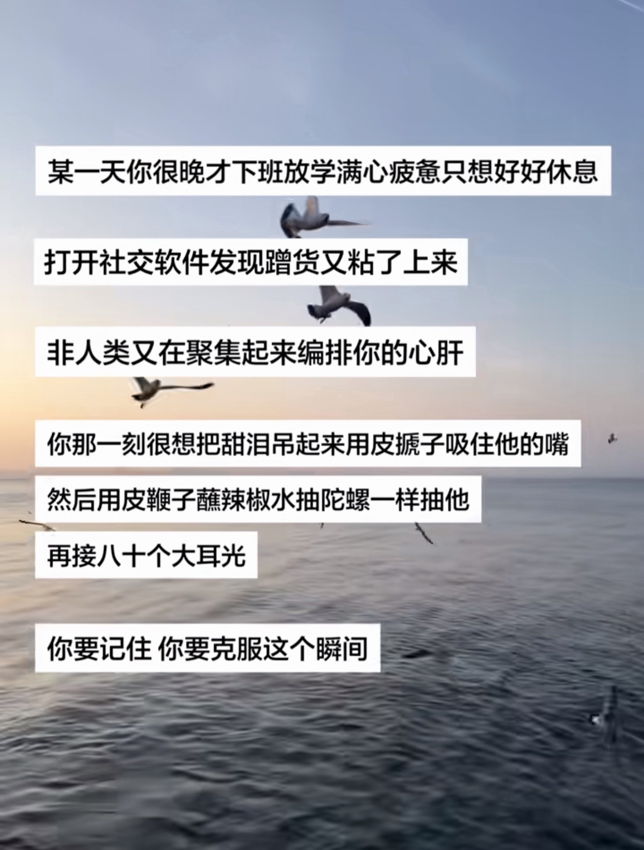 : 一切都是因为tl还活着 