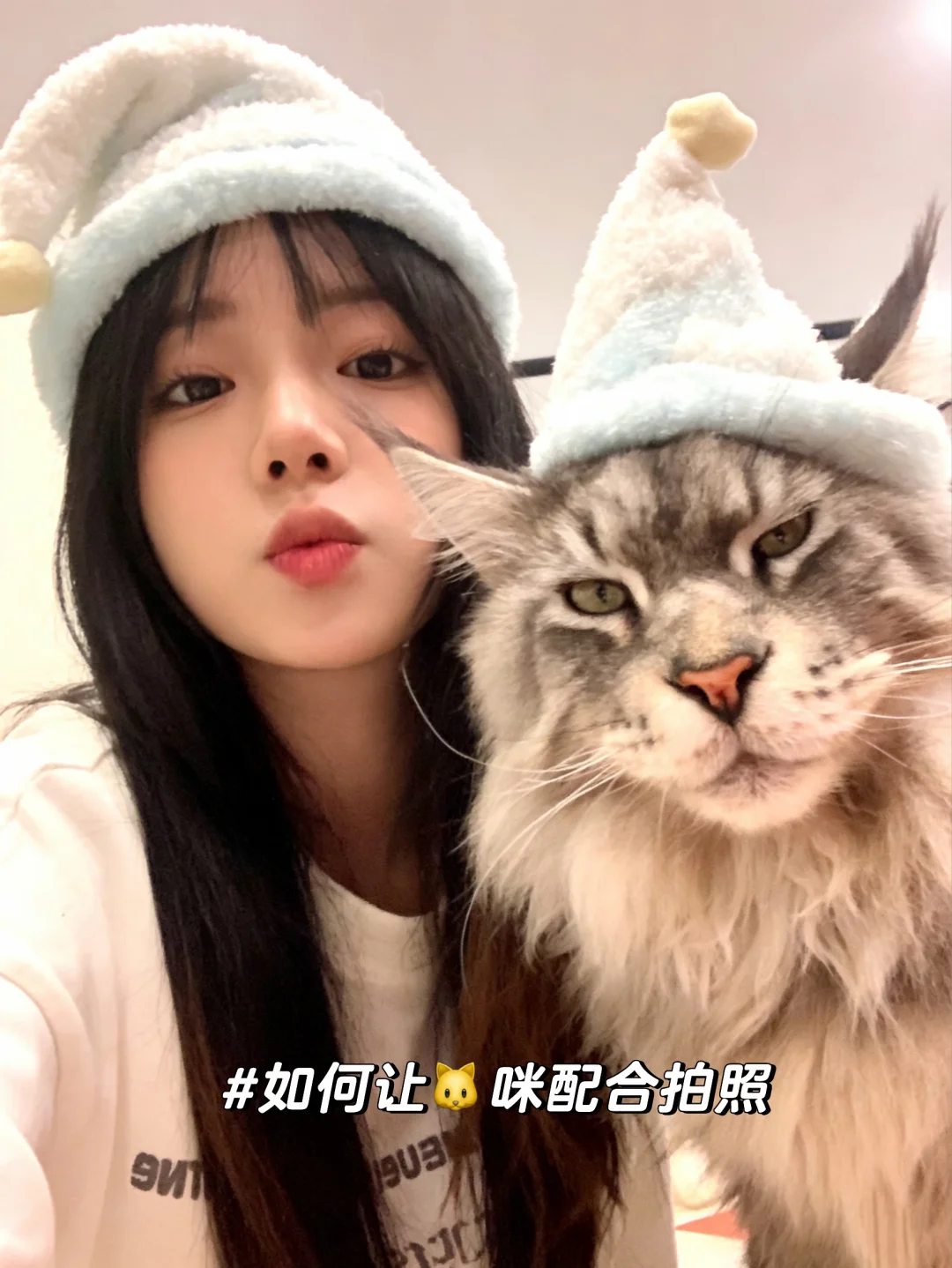 当猫咪不愿意合照…