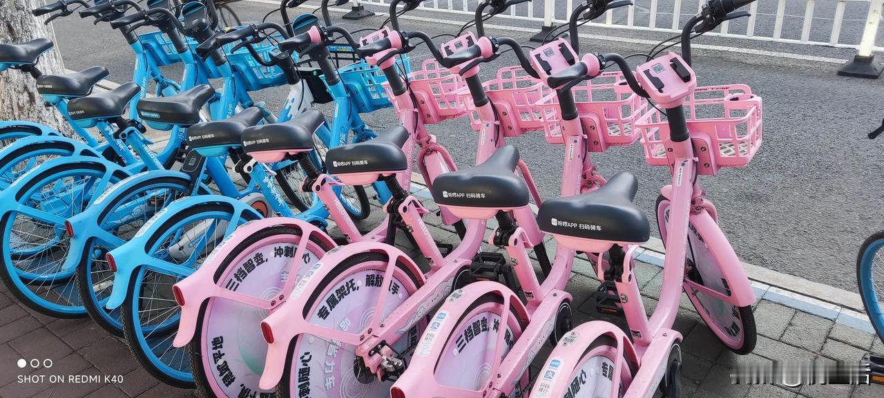 呼和浩特街道~偶遇可爱小单车
粉粉嫩嫩