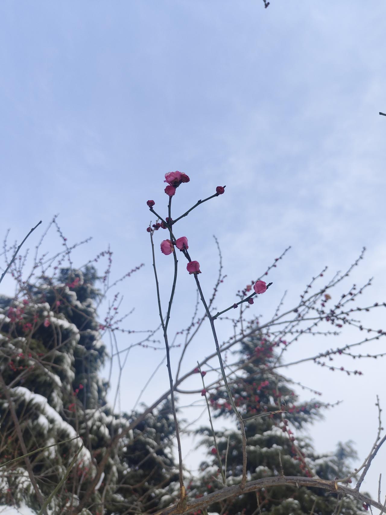 情商高会说话，到底是什么感觉？

前几年还在戴口罩的时候。

公司因为戴口罩的原