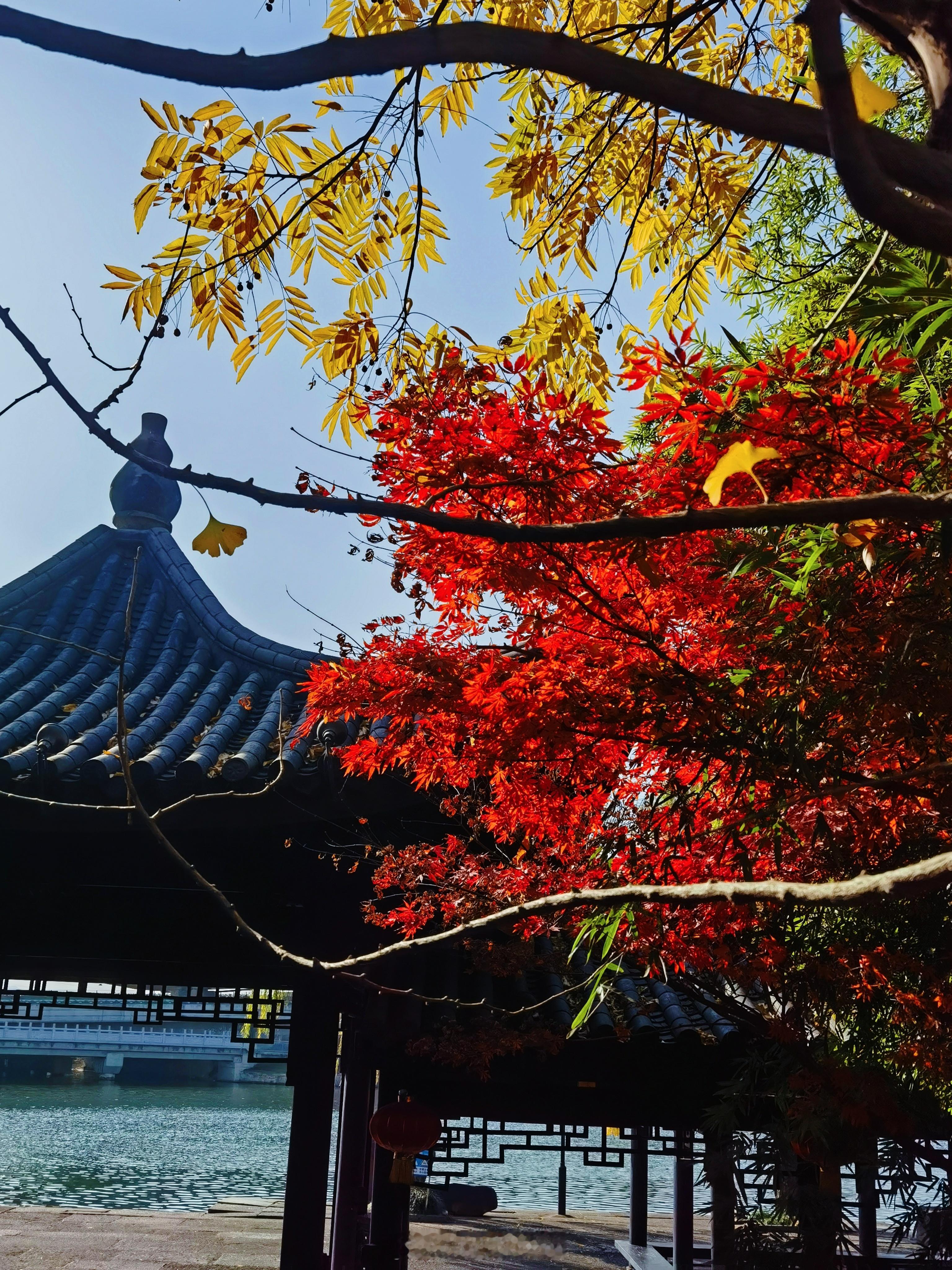 吃了中饭，趁着好阳光☀️，根本停不下来，边走边拍，一路上鸟儿的歌声相伴[坏笑][