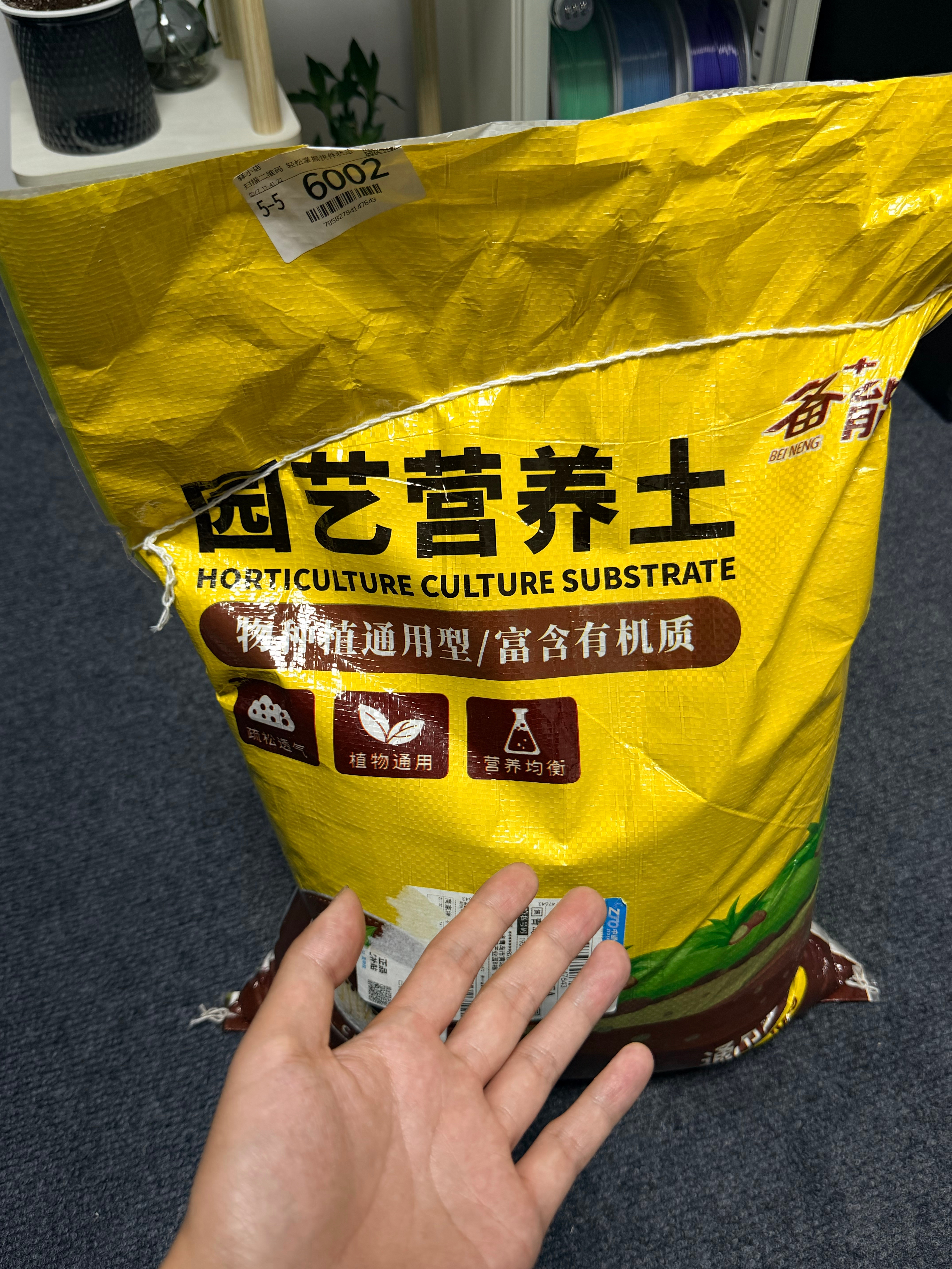 城市里真不好，连好土都没有，只能买小梦日常分享 青岛