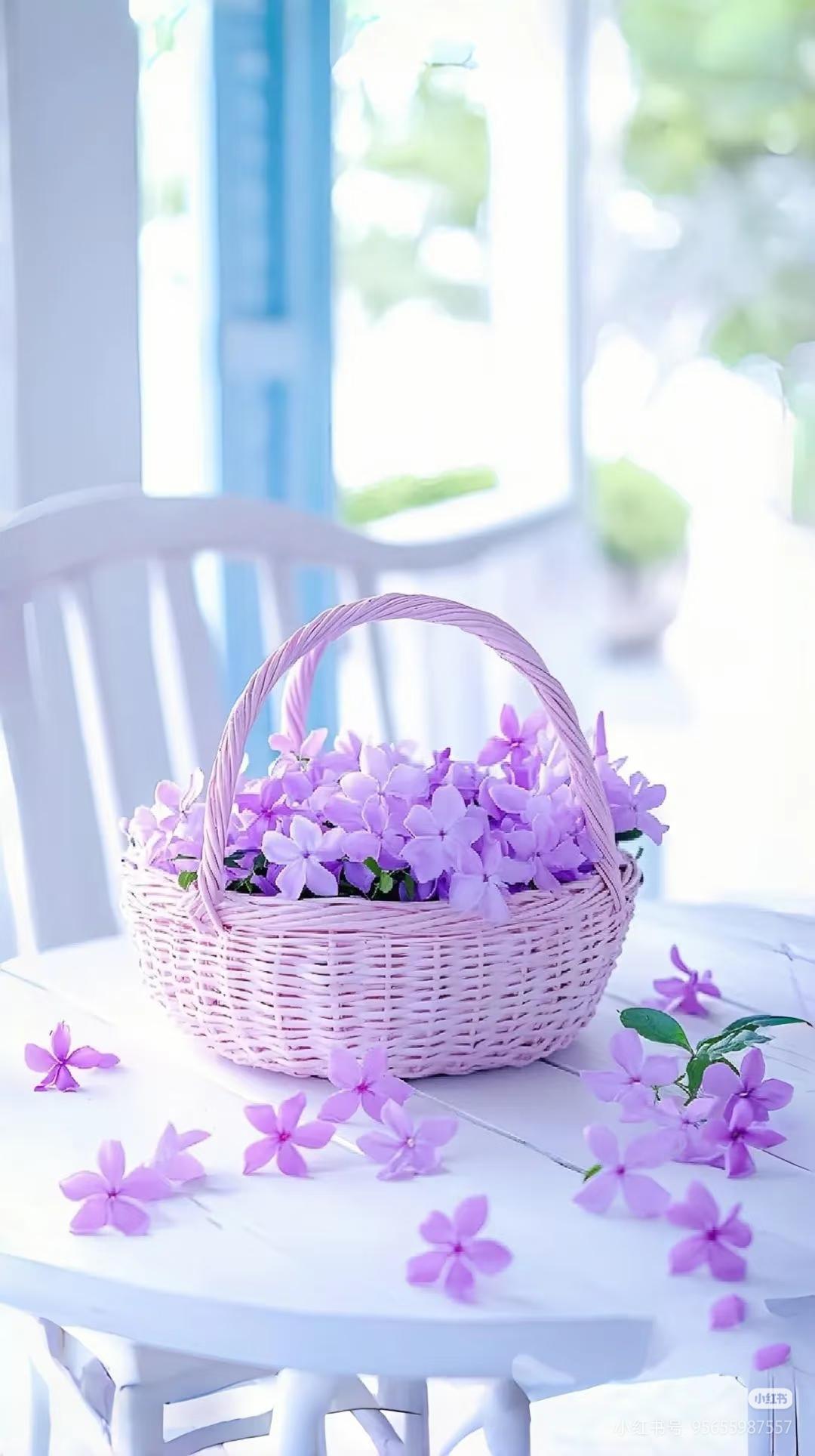 怎么样让自己保持快乐的心情？这是很多人每天都在思考的问题。生活压力大、琐事缠身，