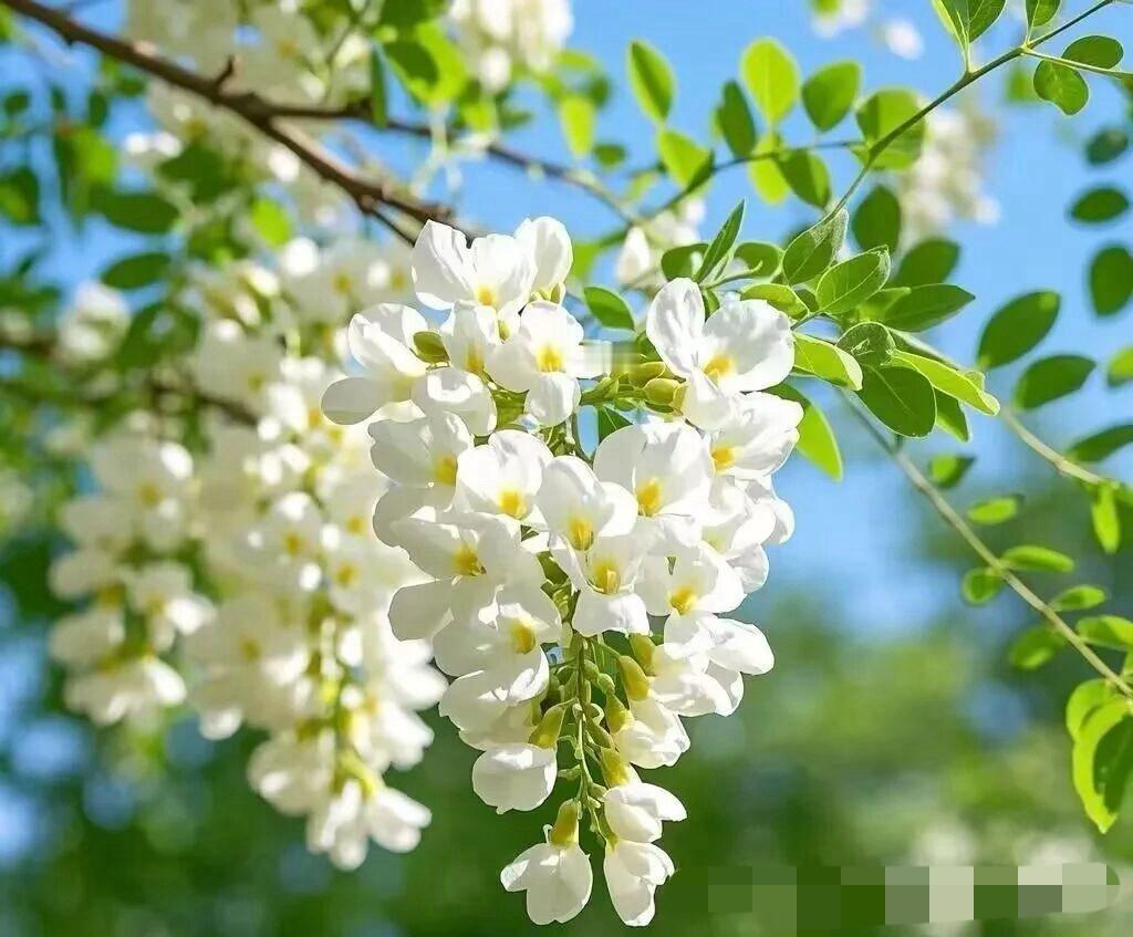 从秦皇岛本地的情况来看，我觉得今年夏天不会太热，因为已经立夏了，但秦皇岛的温度依