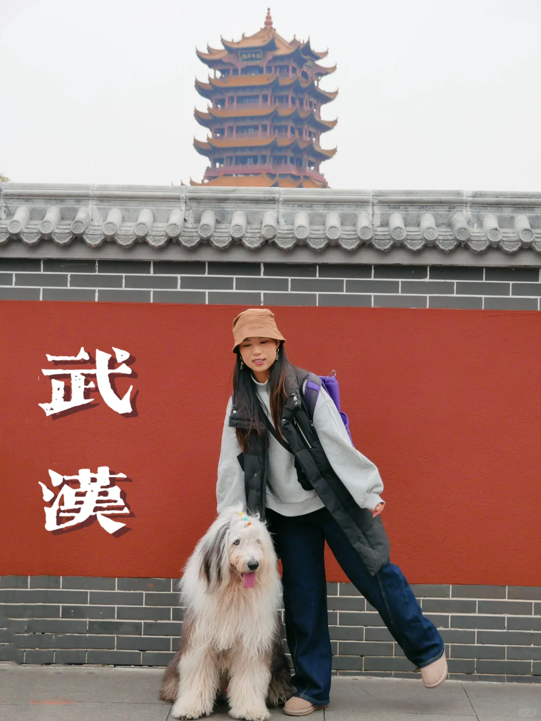 跟团带狗旅游25天，武汉见到黄鹤楼了！