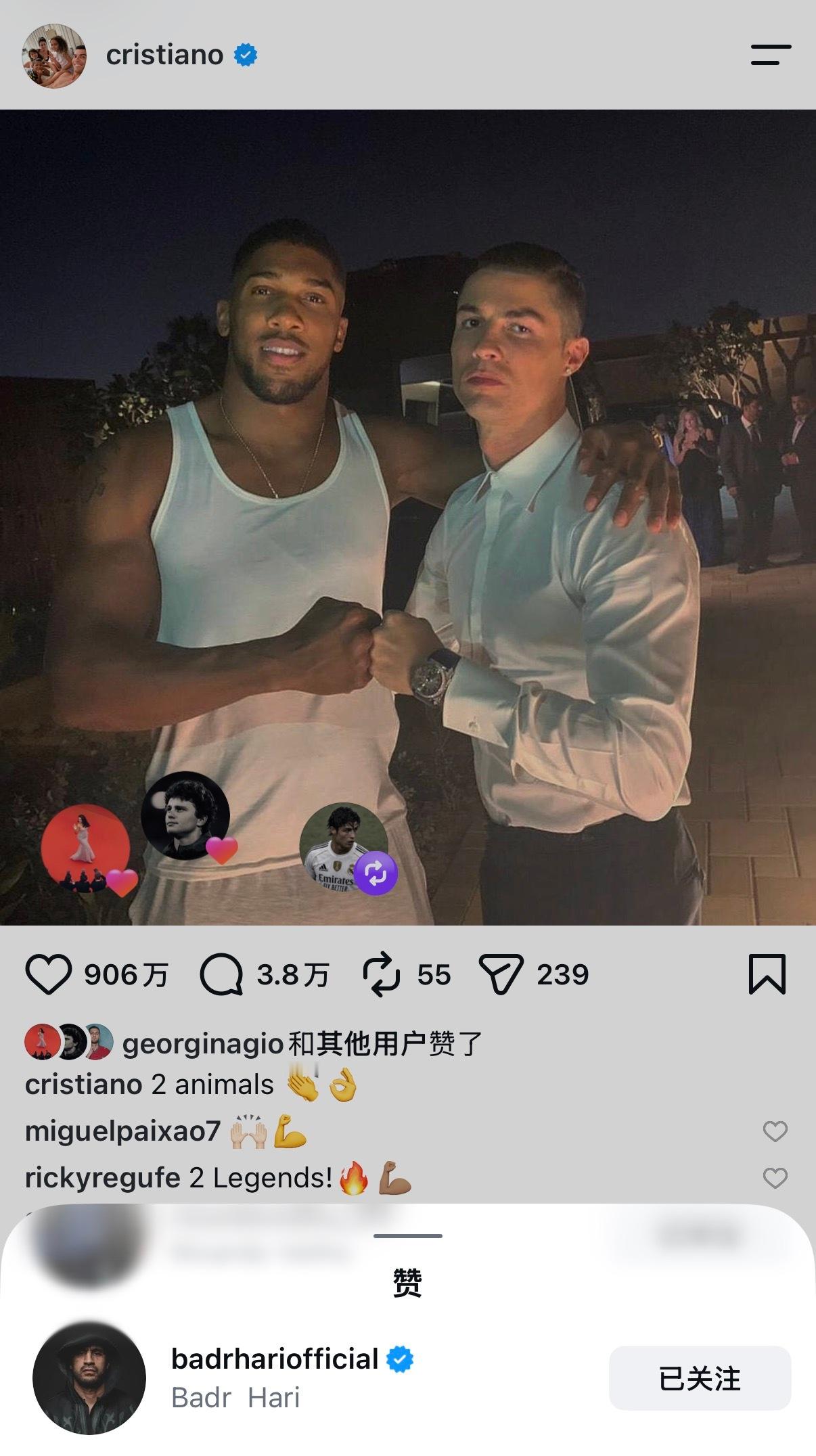 拳王来互殴