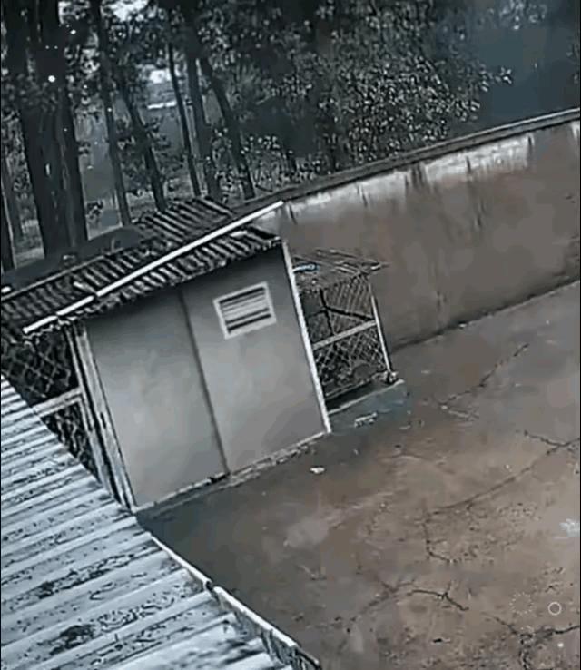 大哥挺淡定先穿上裤子在走出来[捂脸]