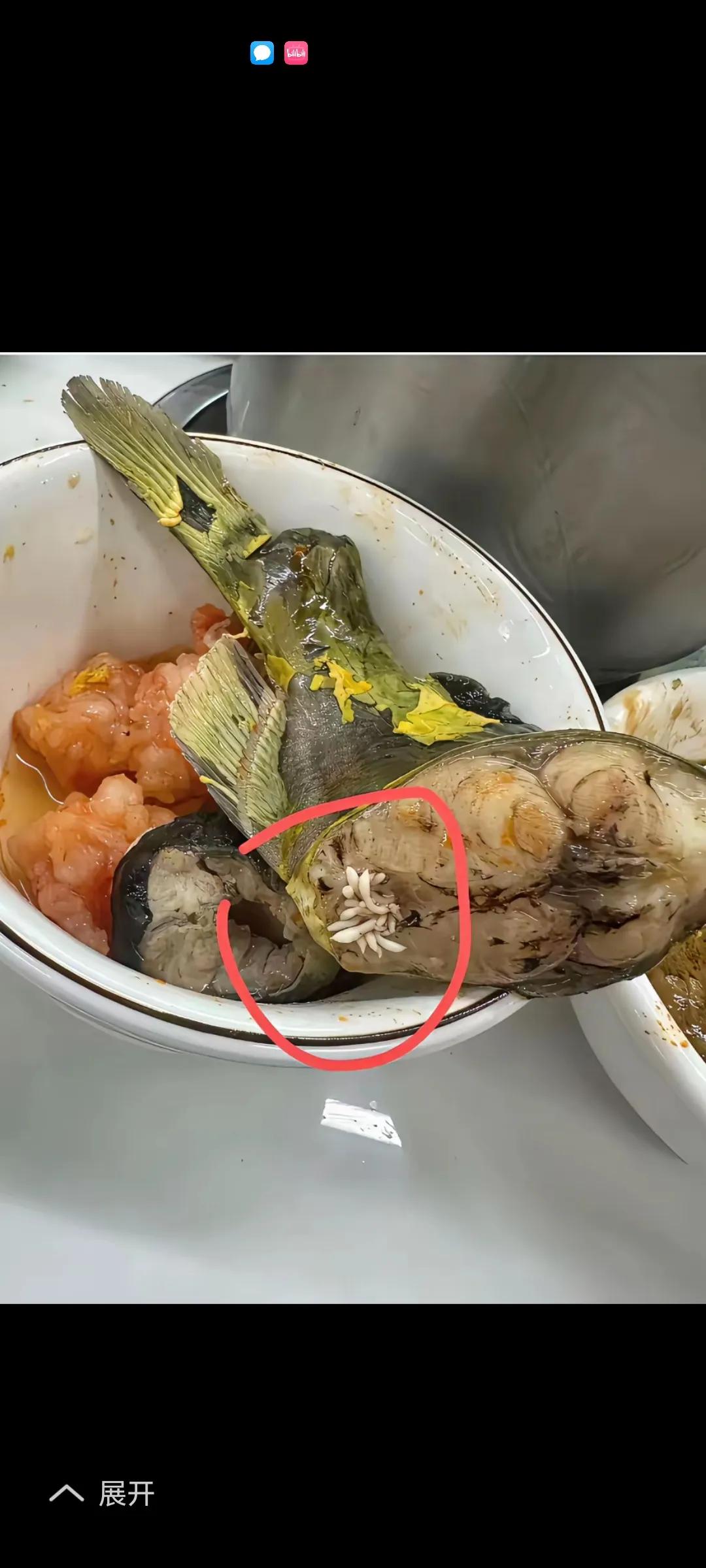 这是什么？吃鱼是看到的。