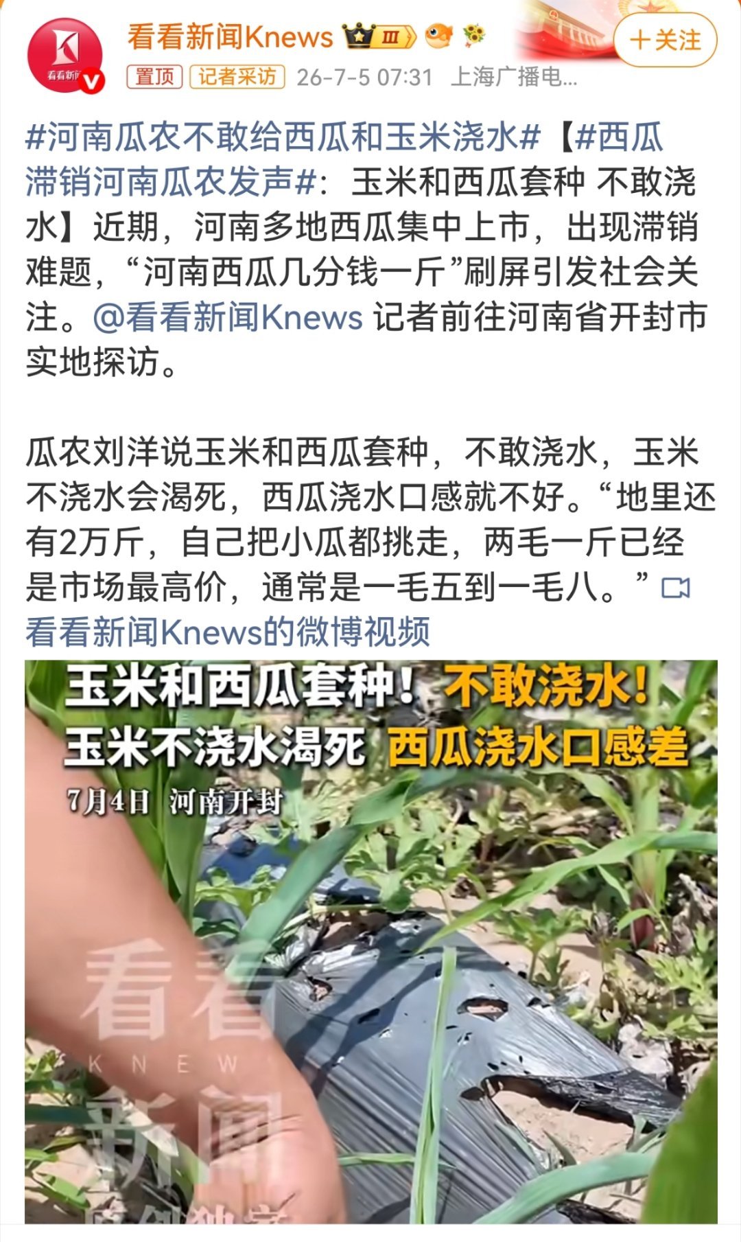 河南瓜农不敢给西瓜和玉米浇水河南农民西瓜几分钱到一两毛一斤，超市一两块钱很正常。