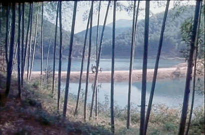 折枝作盖生活气息浓厚，野趣十足！这应该属于中式美学的具像表达场景之一了吧虽然图一