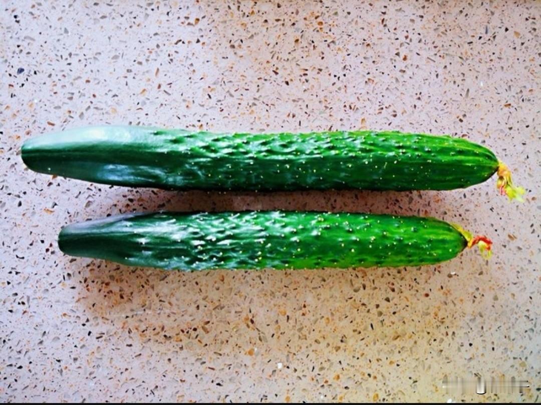 寒假结束，儿子滚蛋了。

顿感天空一片明朗，呼吸（汝腺）都通畅了。

生儿子多年