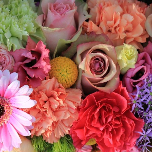 你喜欢在地摊淘旧书吗?从不到地摊上买书，那里几乎所有的书籍都是通俗的大陆货，要么