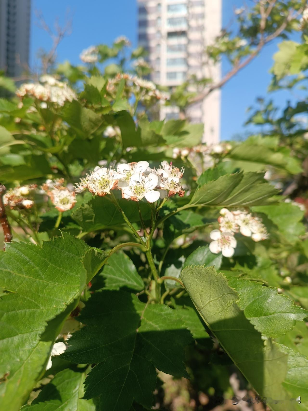 我认为是
祝各位莘莘学子都能金榜题名，鹏程万里