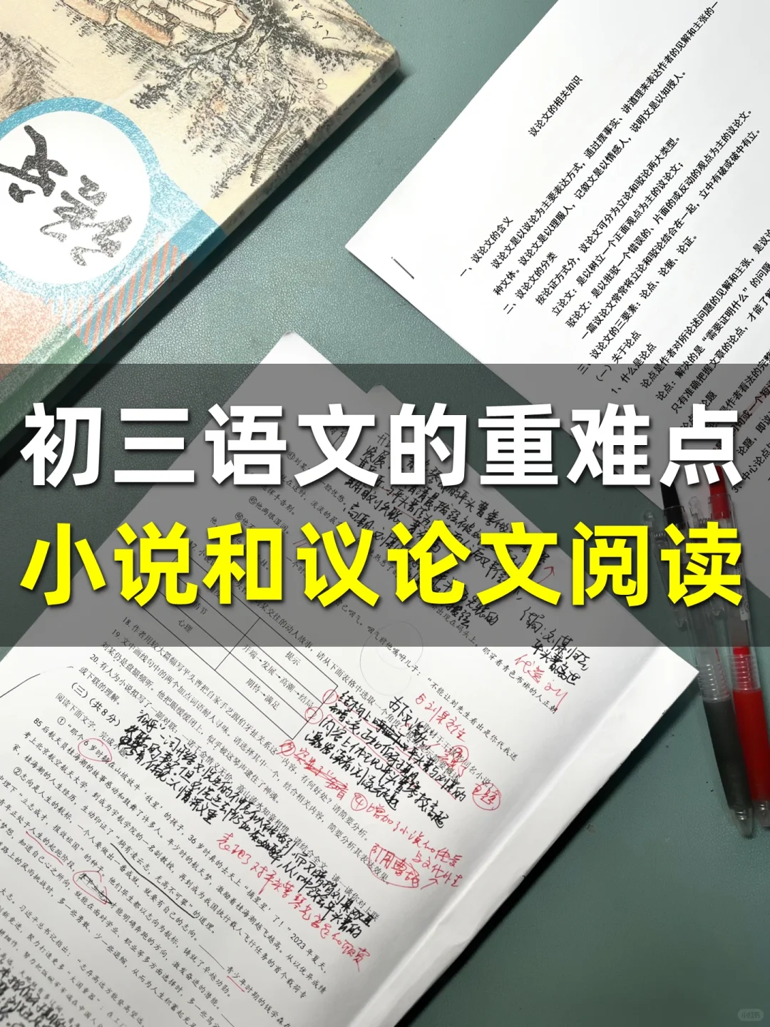 初三语文难点：小说与议论文阅读｜期中大捷❤️