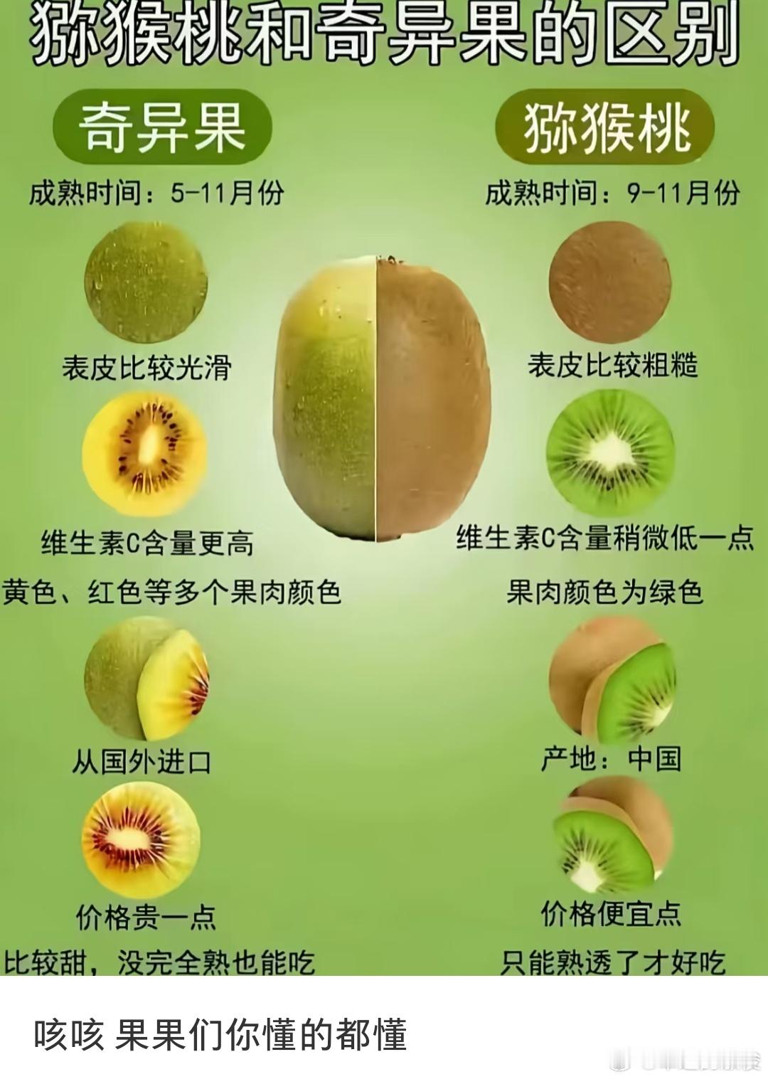 奇异果和猕猴桃的区别。 ​​​