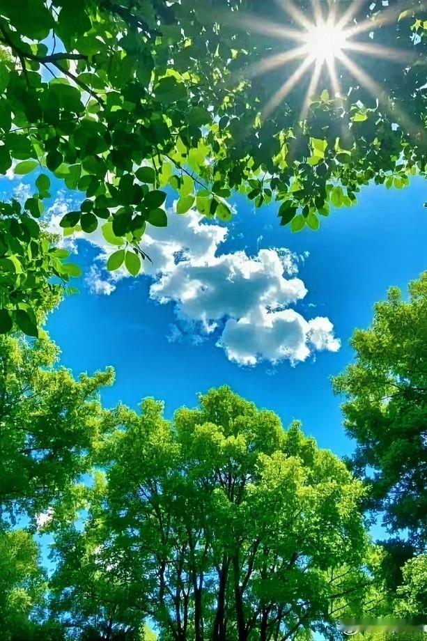 中医专家说：睡得香的人，身体多半差不了！

很多人忽略一件事：睡眠质量，就是身体