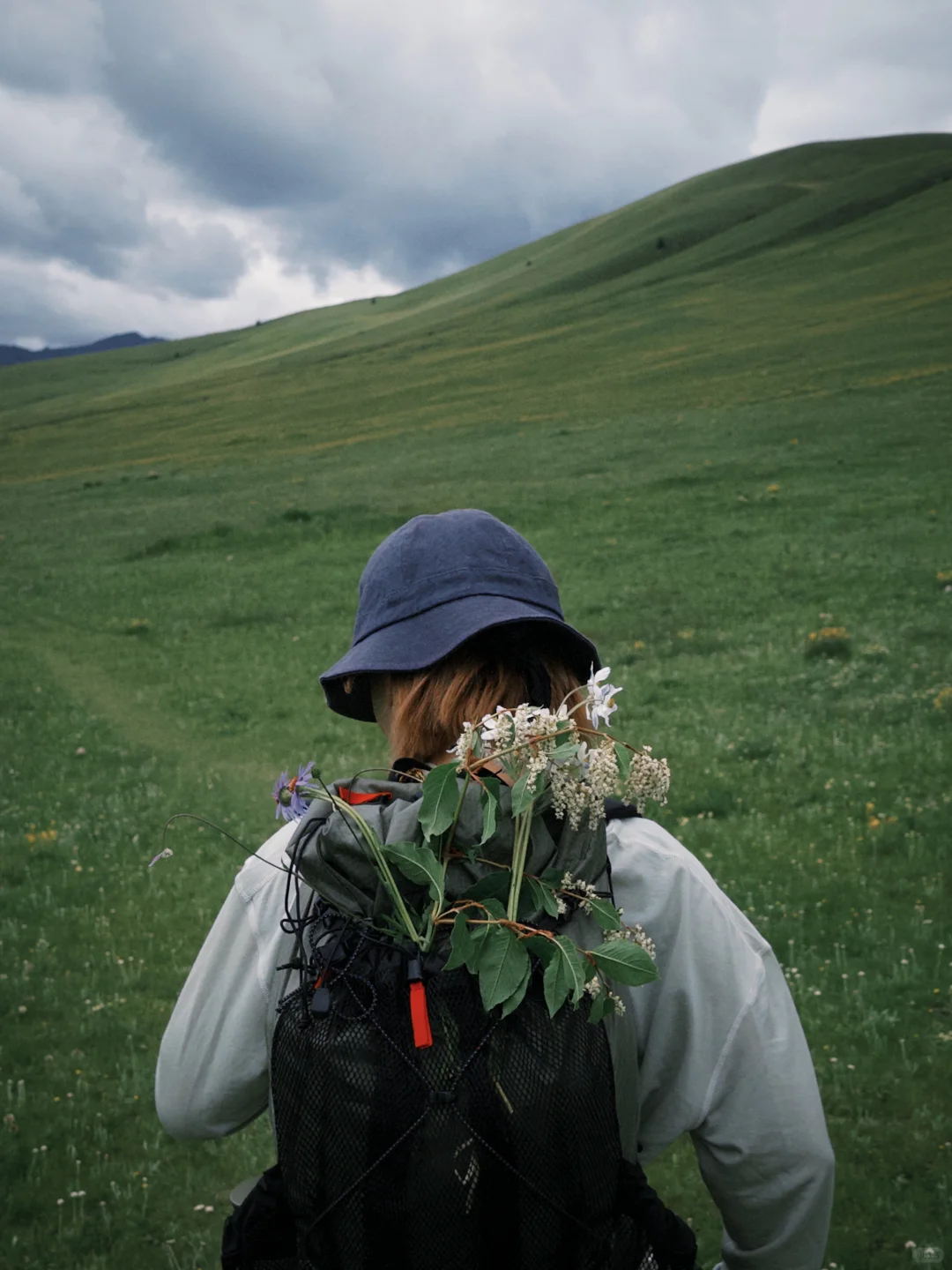 人的内心不种满鲜花，就会长满杂草