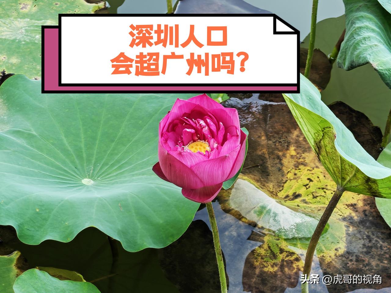 若干年后，深圳的常住人口会否超越广州？从2025年末广东各市常住人口数量来看，全