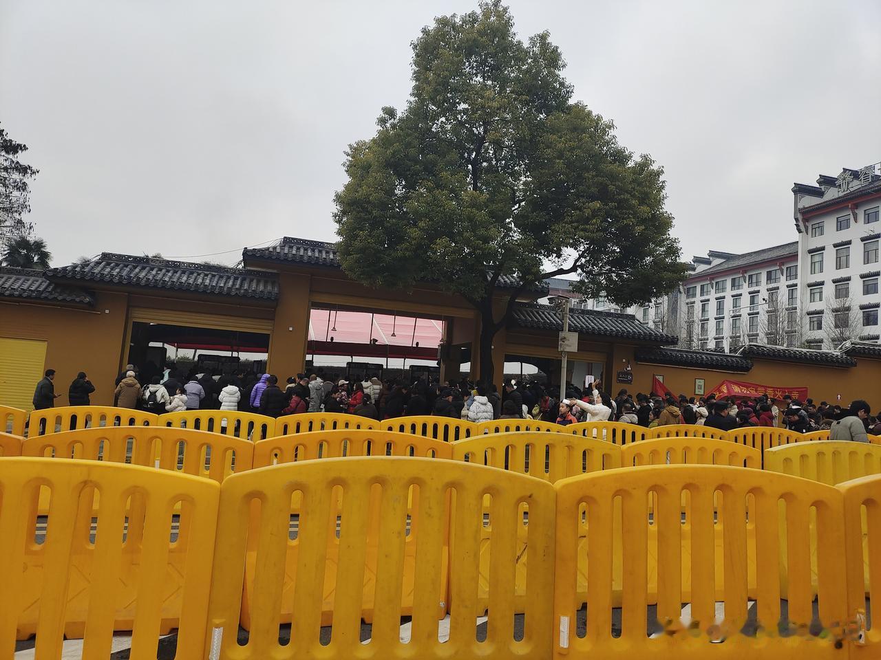 新年第一天，去了汉阳归元寺。走到门口，发现人太多，折返去了武汉动物园。归元寺门口