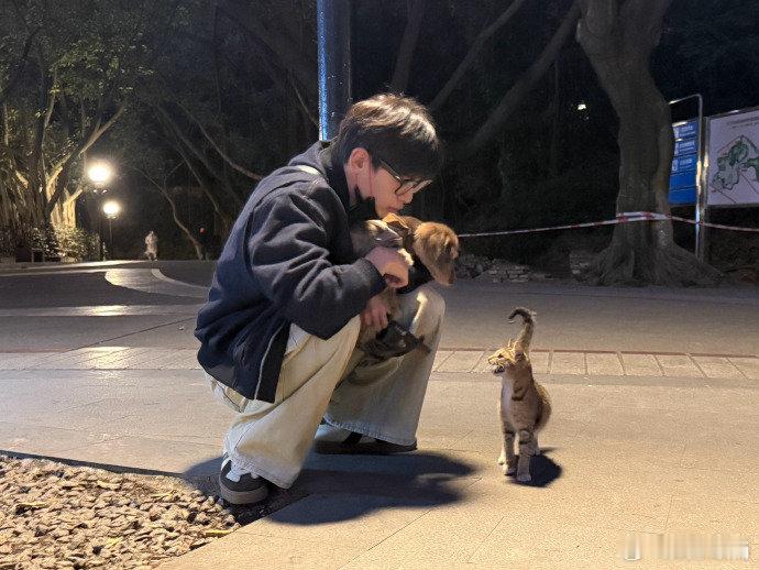 翟潇闻晒虎子遛弯记 翟潇闻虎子还挺有镜头感的！我好喜欢啊！咋拍的 好厉害[送花花