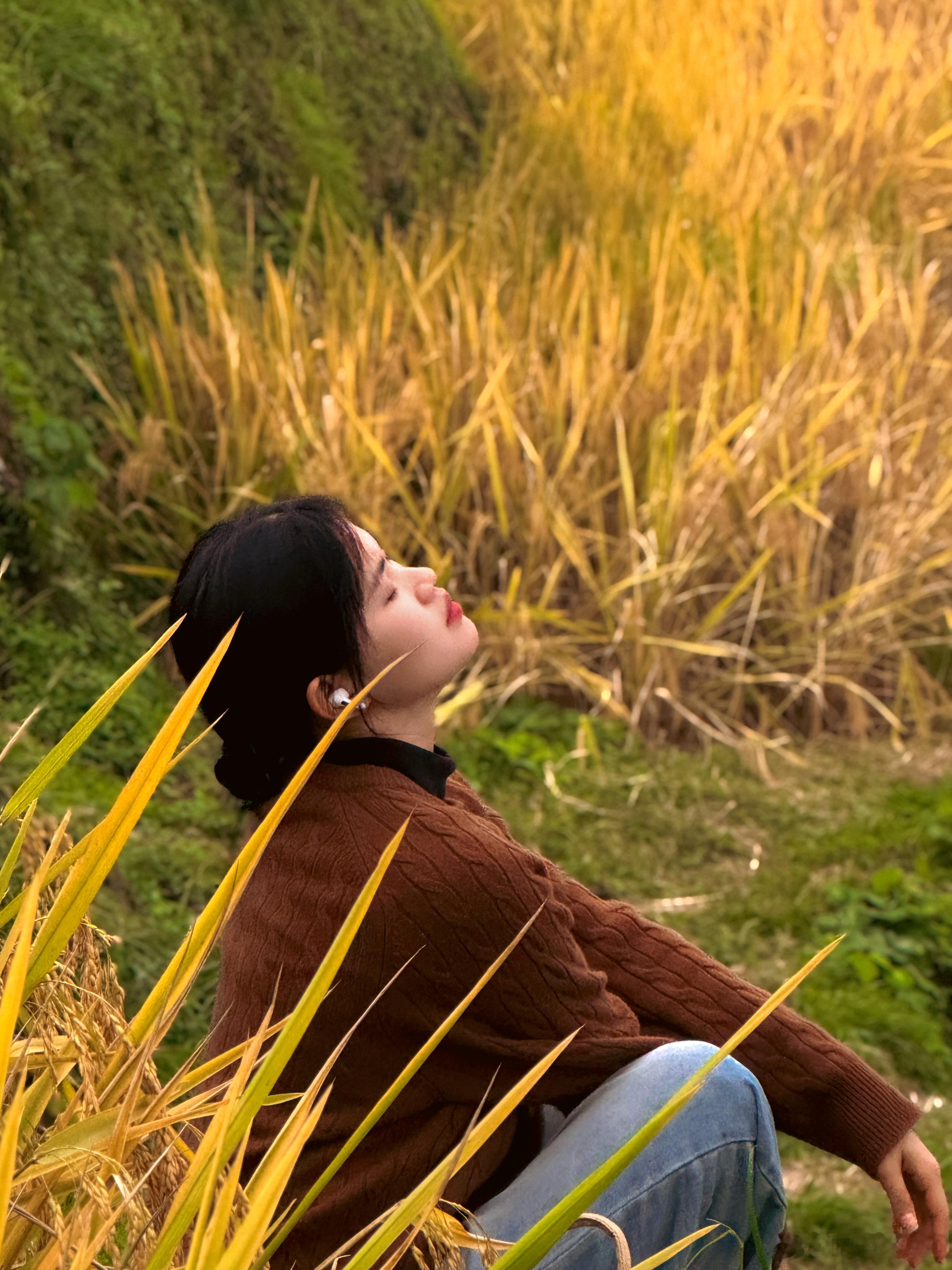 🌾生活手记  ​​​