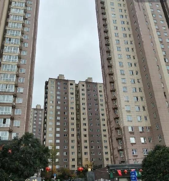 我身处于一座四线城市的乡村地带，居所为一栋自主建造的二层住宅。我的儿子现已年满2