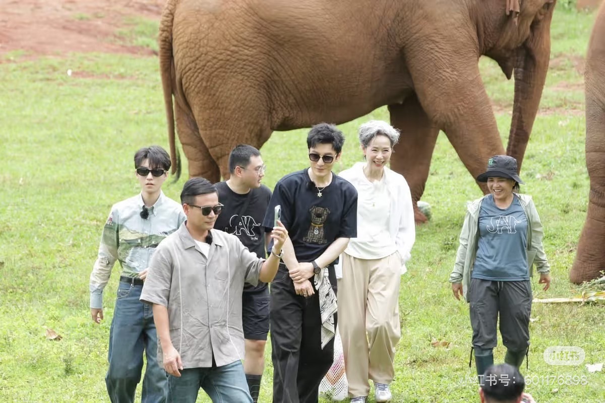 小猫🐱在学大象🐘王俊凯 中餐厅10