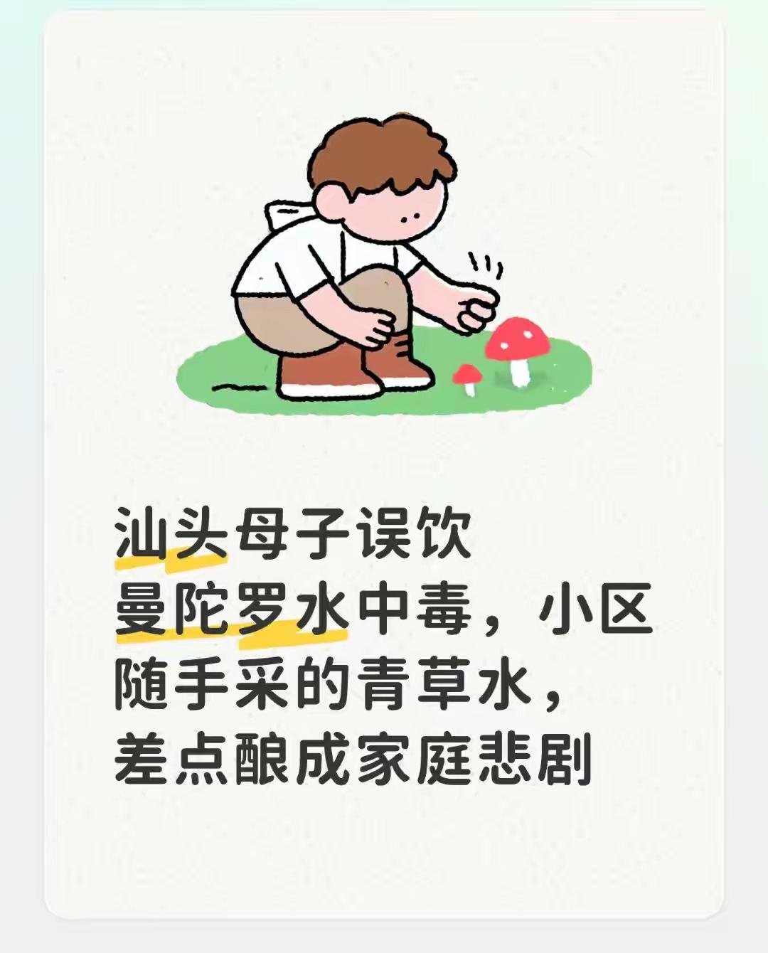 野外漂亮花千万别乱碰！广东汕头，一对母子就在户外误采了曼陀罗花，随手泡水喝下，结