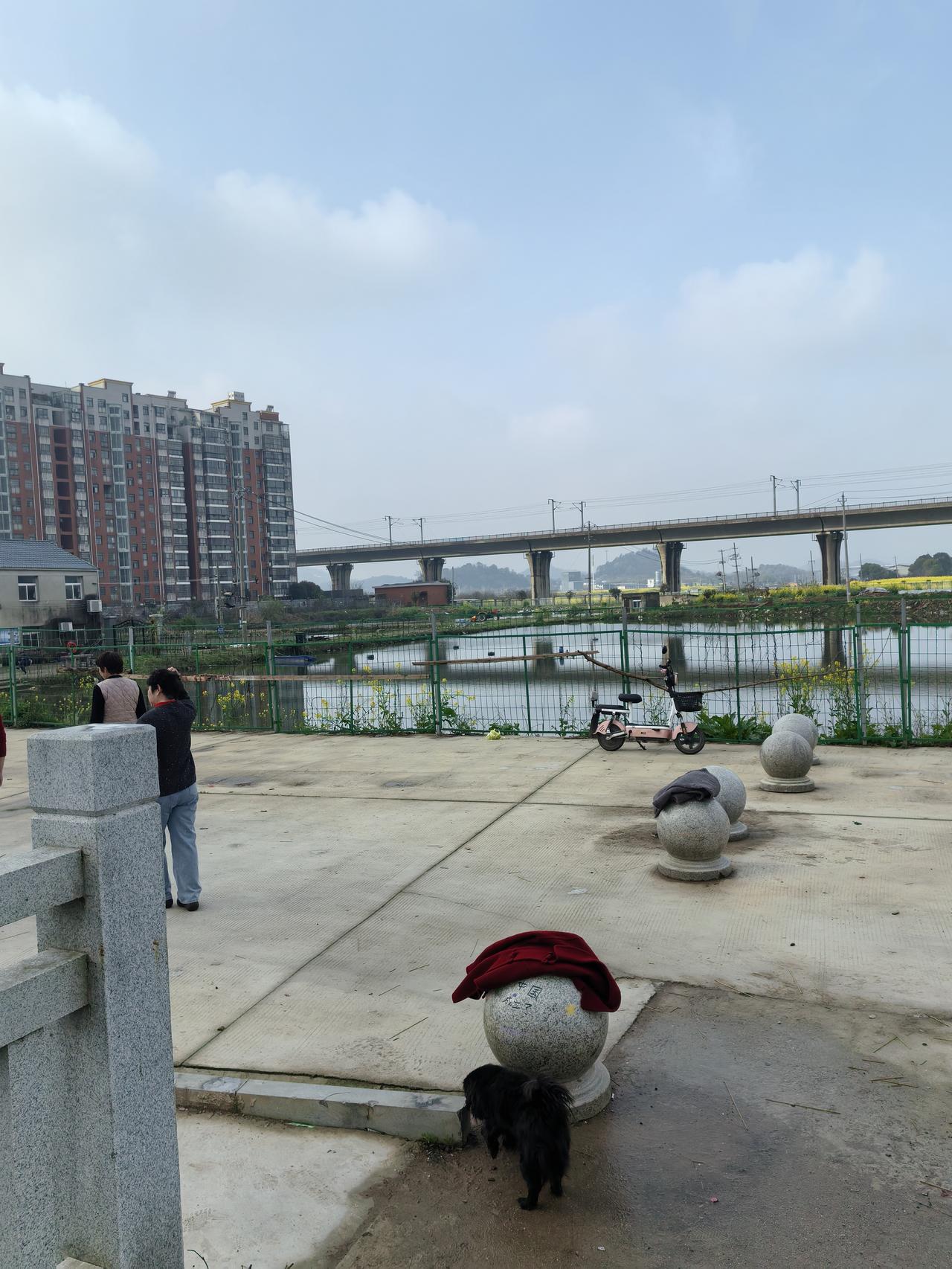 专家说美国“内战”或进入倒计时，这事儿还真有点苗头。之前特朗普把伊朗视为“头号大