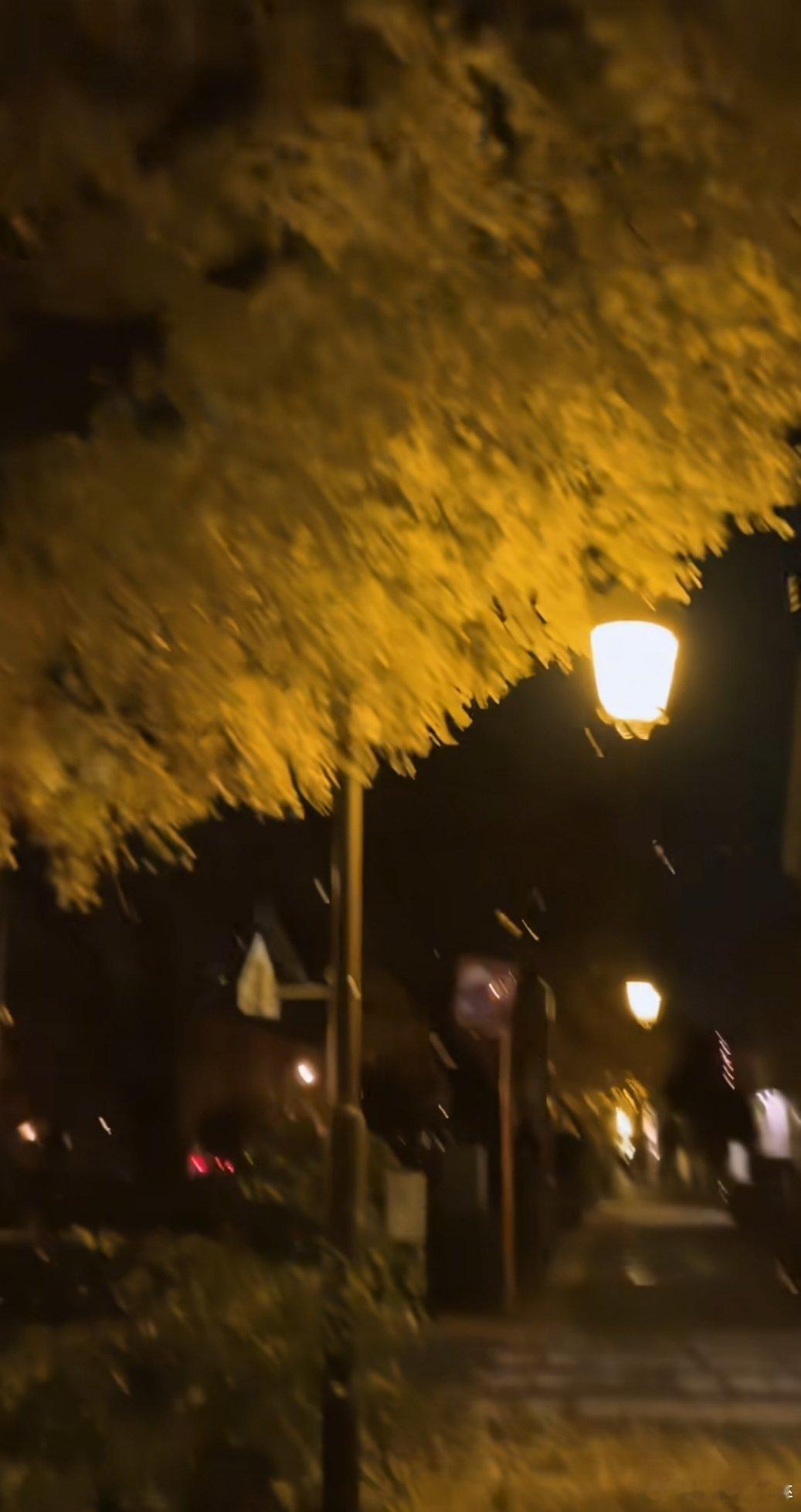 每次这个场景配上我还记得那天，我就想起来张凌赫长珩仙君[泪][泪][泪] 苍兰诀