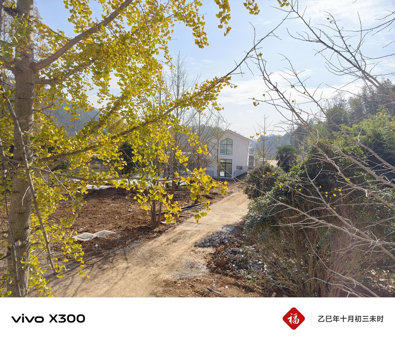 冬日生活打卡季冬日暖阳