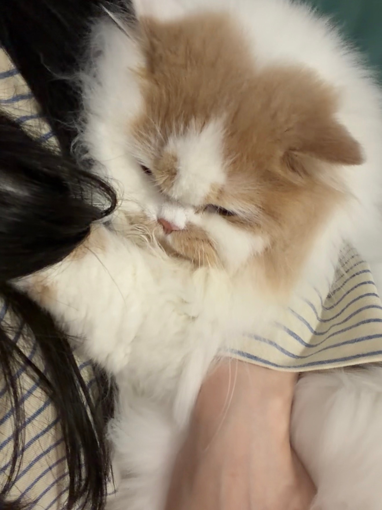 期袋 立冬咯 ​​​