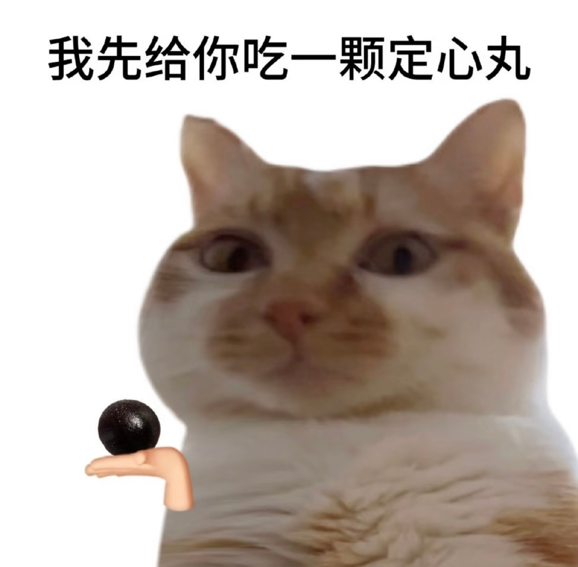 北方 隐翅虫不要慌，怕虫星人已经做好功课了[并不简单]重点就是不要拍！如果发现落