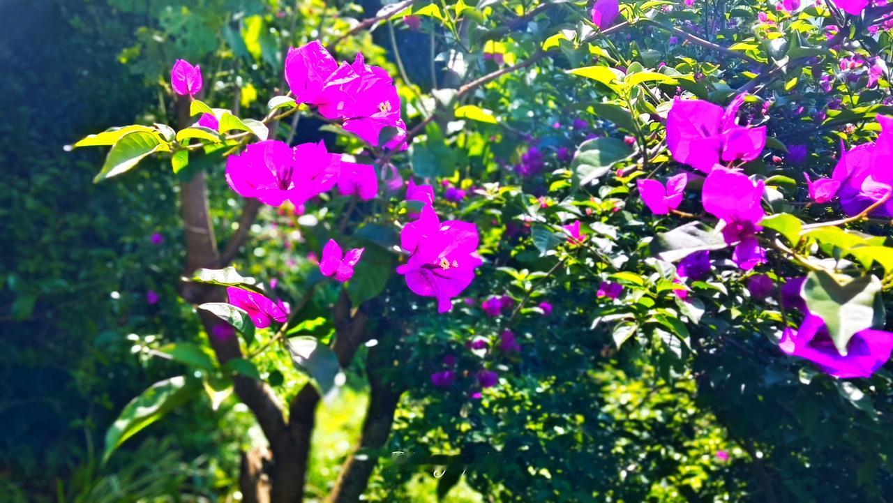 据俄罗斯卫星通信网报道，根据俄罗斯社会舆论调查中心分析网站发布的民调结果显示，6