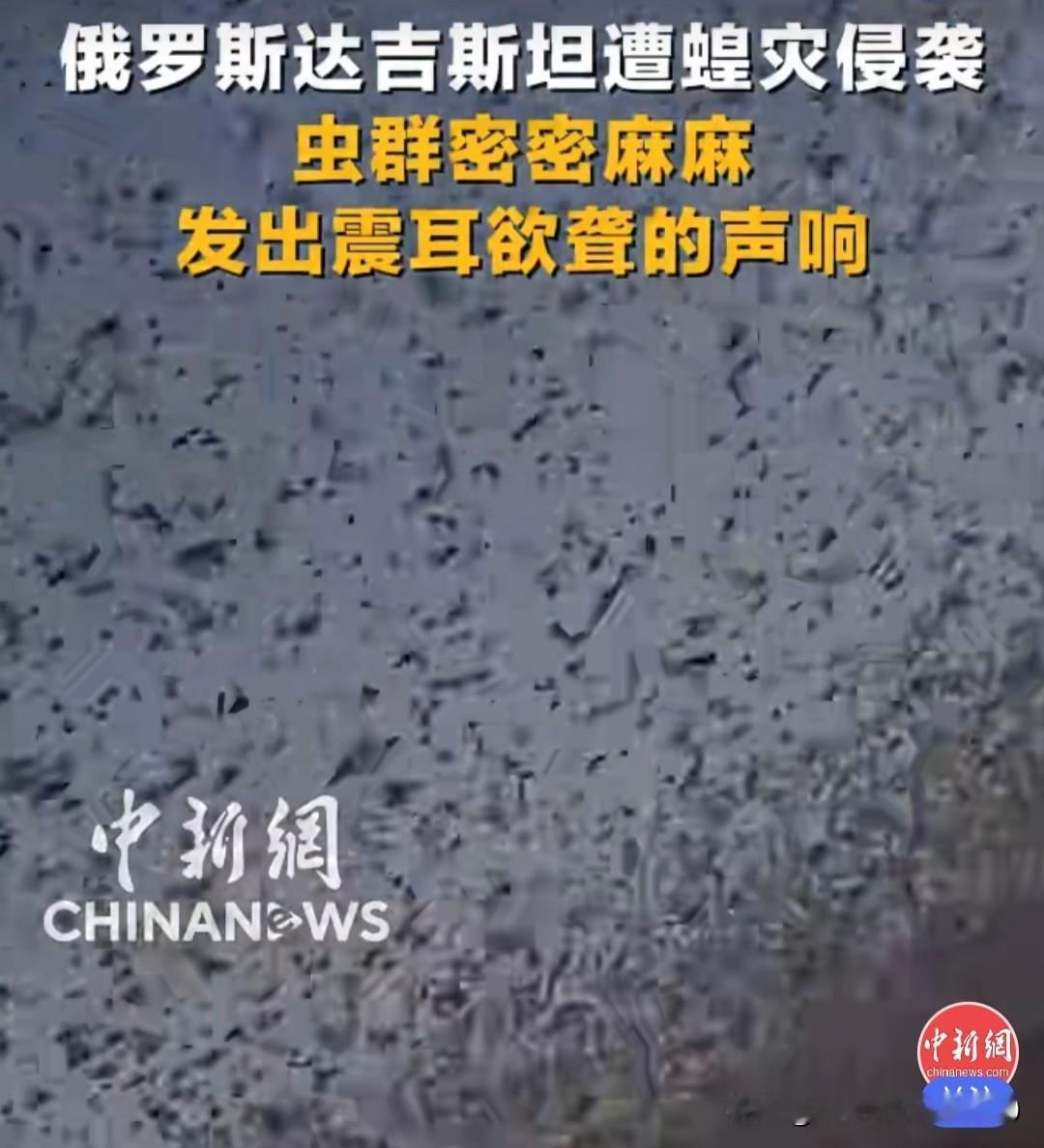 战乱就容易滋生自然灾害，最近俄罗斯达吉斯坦共和国就遭遇了严重蝗灾。铺天盖地的蝗虫
