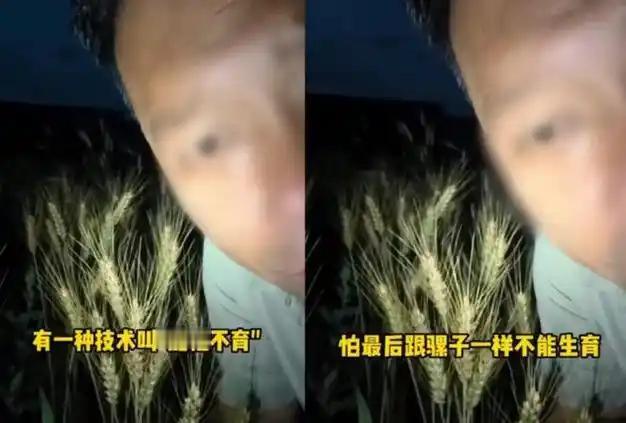 “吃了杂交水稻会不育”？200万粉丝网红一句话，把自己送进了看守所。

一个在短