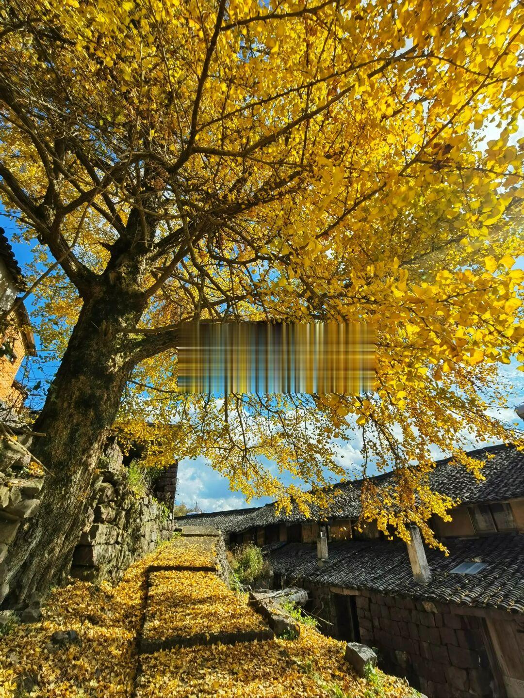 15条宁波赏秋路线，徒步才能看见的神仙秋景