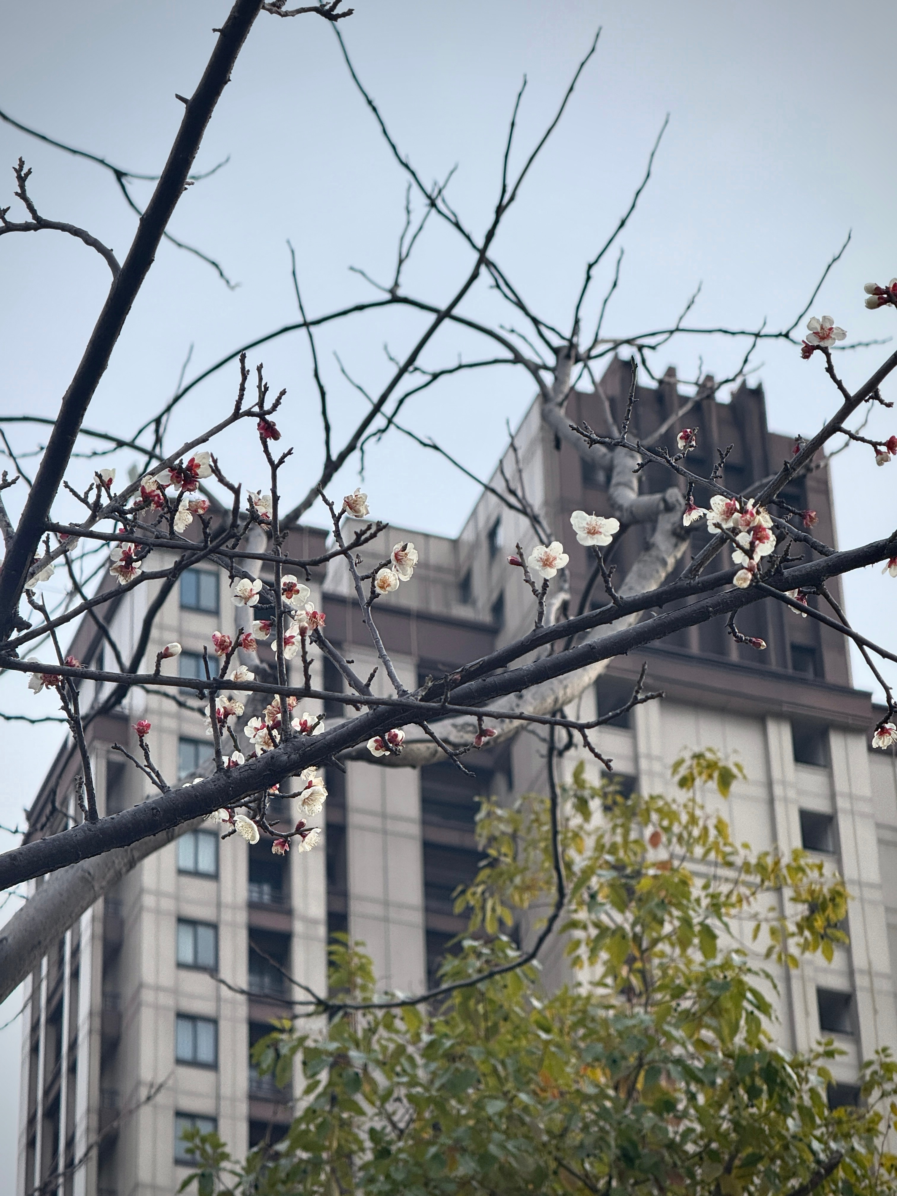 荡秋千 杭州·slack off.co.ltd