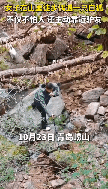 你敢信吗？在青岛崂山踩石头过溪，一个回头，直接让一群驴友看傻了。
那天队伍里有个