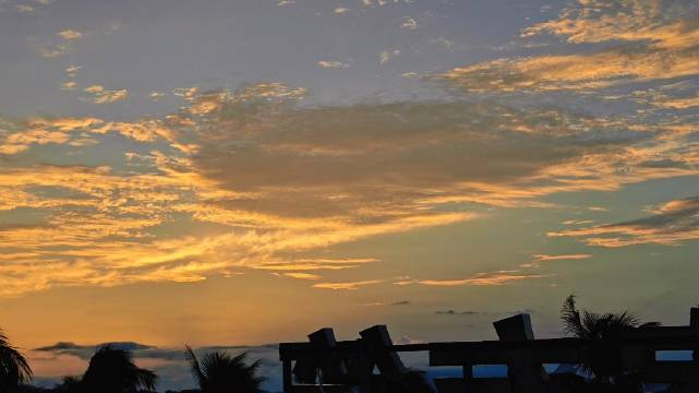 #vivo[超话]# 暴雨过后🌅
昨晚深圳的雨大得可怕，就知道今天会迎来好天气，果然不负早起，看了一