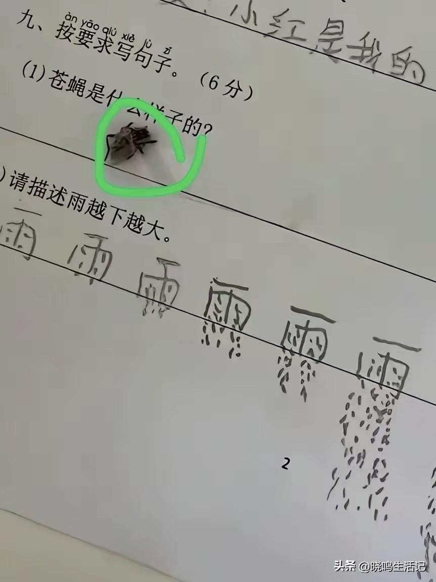 这位学生，很不简单啊。