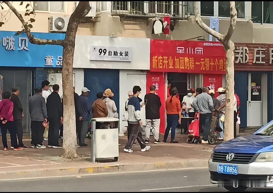 今天上午，一位大叔递给我一张传单，“快拿着它去免费领一份鸡蛋”，我一听还有这好事