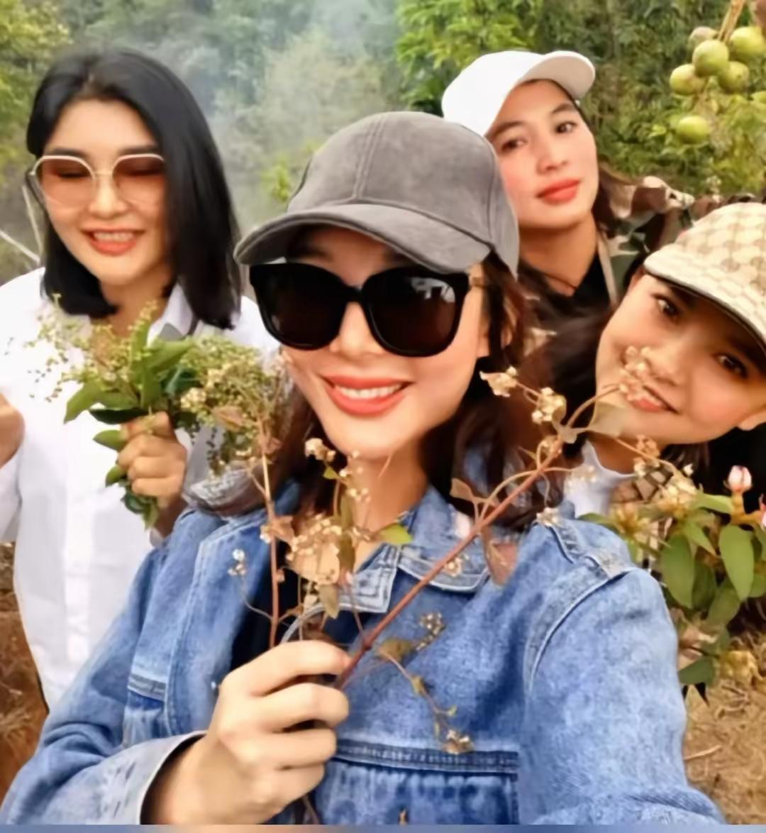 白所成被判死刑，
其四女却集体“消失”了！
白应香、白应兰、白应萍、白应改，这四