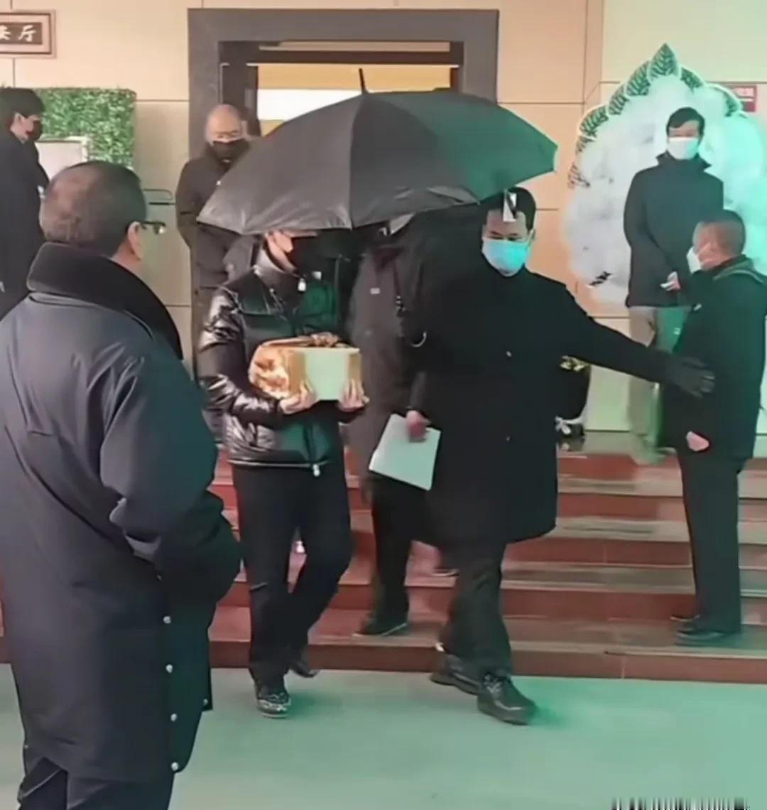 她演活了四大名著，却没演过自己58岁的生日。
儿子捧着骨灰盒，手指关节泛白。
医