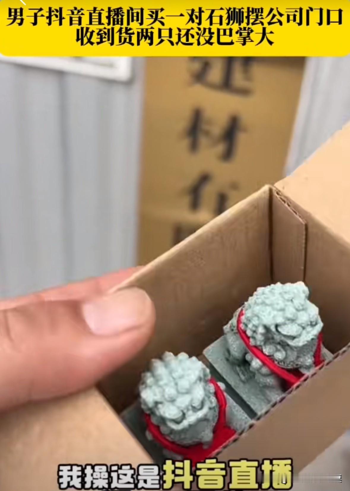 男子在直播间买了一对石狮子，想放在公司门口。
收到货后，两个石狮子还没有巴掌大。